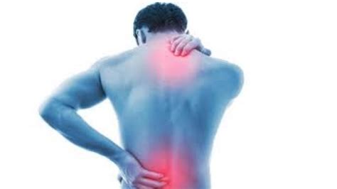 dor muscular nas costas - mafia da dor filme